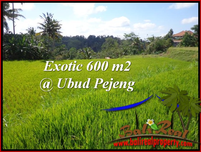 DIJUAL TANAH di UBUD BALI 6 Are di Ubud Tampak Siring