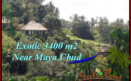 JUAL TANAH MURAH di UBUD BALI 34 Are View Sawah ,Tebing link Villa