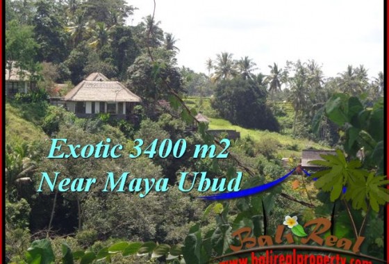 DIJUAL TANAH di UBUD 34 Are di Ubud Tengkulak