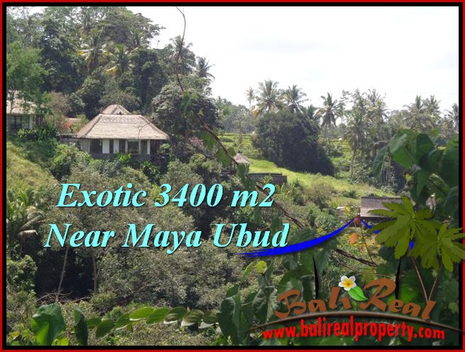 DIJUAL TANAH di UBUD 34 Are di Ubud Tengkulak