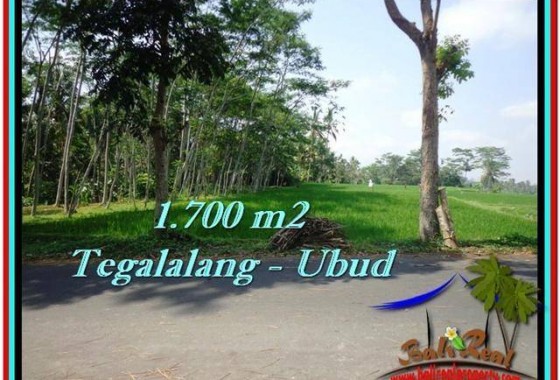 JUAL TANAH di UBUD 1,700 m2 View Sawah