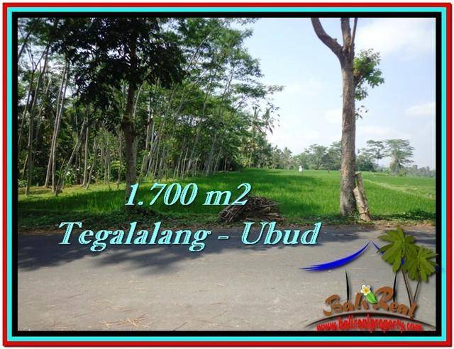 JUAL TANAH di UBUD 1,700 m2 View Sawah