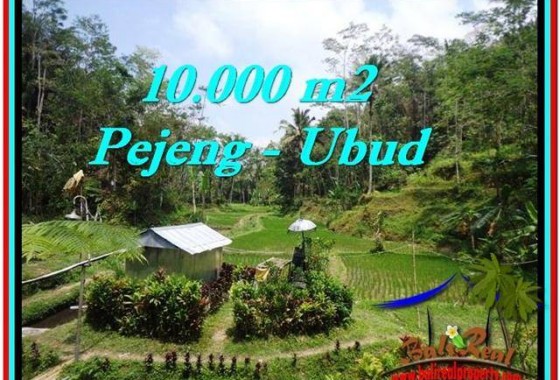 JUAL TANAH MURAH di UBUD 100 Are di Ubud Tampak Siring