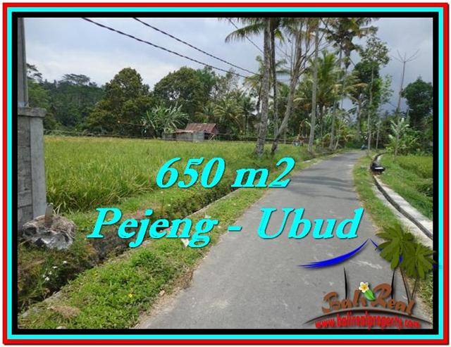 JUAL MURAH TANAH di UBUD BALI 6.5 Are View Sawah