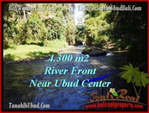 TANAH di UBUD DIJUAL TJUB499