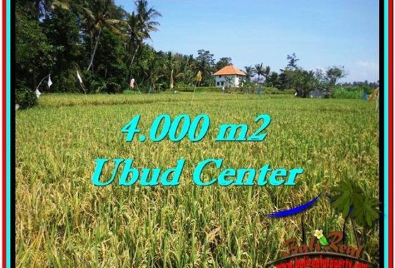 TANAH DIJUAL MURAH di UBUD TJUB527