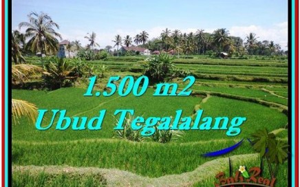 TANAH MURAH di UBUD BALI 1,500 m2 di Ubud Tegalalang