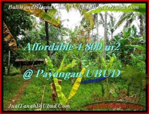 TANAH di UBUD BALI DIJUAL MURAH 48 Are View tebing dan sungai