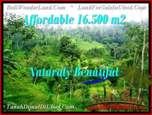 TANAH di UBUD DIJUAL 16,500 m2 di Ubud Tampak Siring