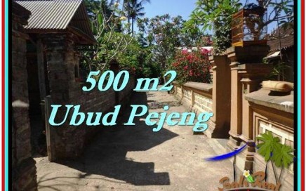 JUAL TANAH MURAH di UBUD BALI 500 m2 di Ubud Pejeng