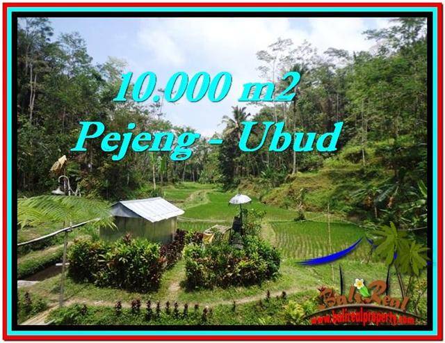 JUAL TANAH MURAH di UBUD 100 Are di Ubud Tampak Siring