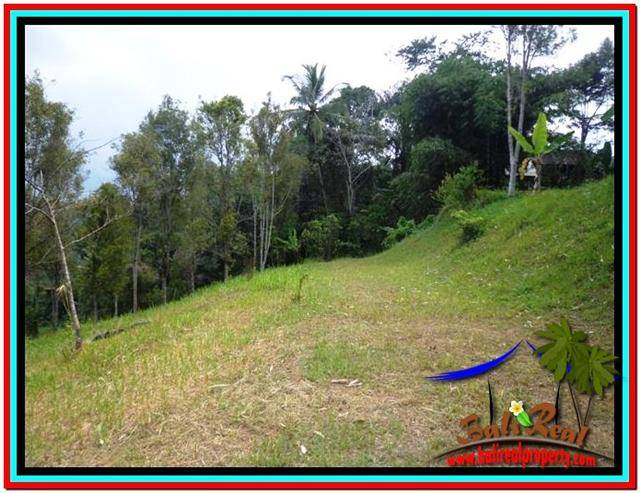 TANAH MURAH JUAL di UBUD BALI 120 Are View Sawah dan Tebing