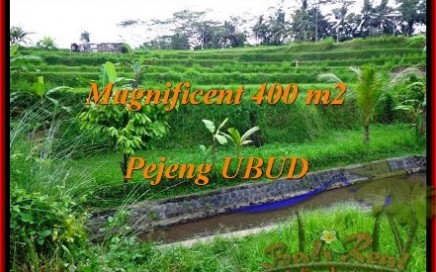 JUAL TANAH MURAH di UBUD BALI 400 m2 View sawah dan Sungai