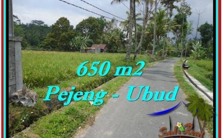 JUAL MURAH TANAH di UBUD BALI 6.5 Are View Sawah