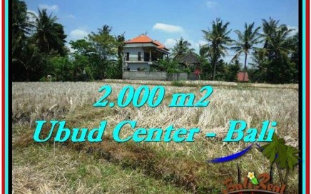 INVESTASI PROPERTY, JUAL TANAH MURAH di UBUD TJUB524