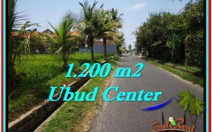 JUAL TANAH MURAH di UBUD 1,200 m2 View Sawah, sungai kecil, link Villa