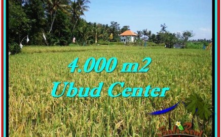 TANAH di UBUD BALI DIJUAL MURAH 4,000 m2 di Sentral Ubud