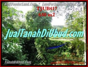 TANAH di UBUD DIJUAL Untuk INVESTASI TJUB417