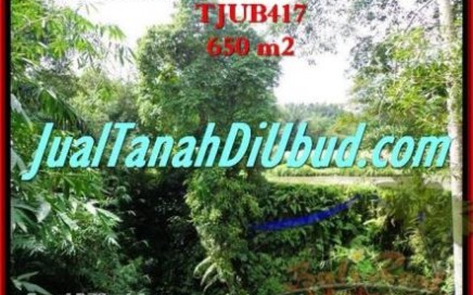 TANAH di UBUD DIJUAL Untuk INVESTASI TJUB417