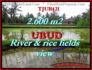 TANAH di UBUD DIJUAL Untuk INVESTASI TJUB421