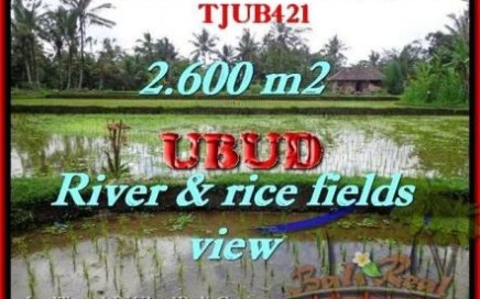 TANAH di UBUD DIJUAL Untuk INVESTASI TJUB421