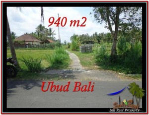 INVESTASI PROPERTY, JUAL TANAH MURAH di UBUD TJUB531