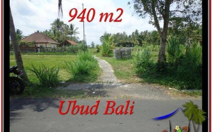 INVESTASI PROPERTY, JUAL TANAH MURAH di UBUD TJUB531