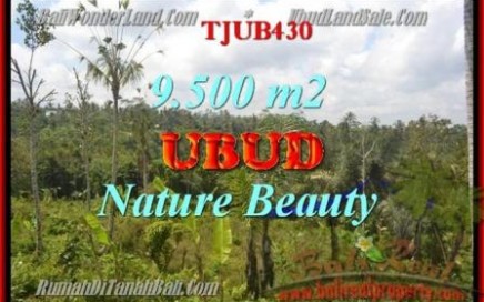 TANAH MURAH di UBUD BALI 95 Are View hutan, sungai dan sawah