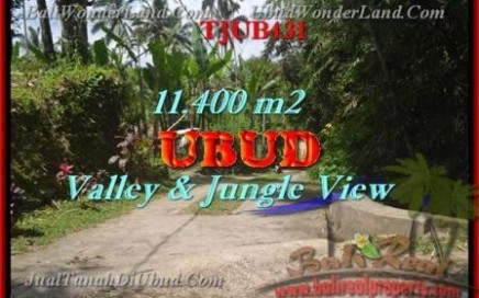 INVESTASI PROPERTY, TANAH DIJUAL MURAH di UBUD BALI TJUB431