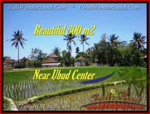 JUAL TANAH MURAH di UBUD 300 m2  View sawah link villa