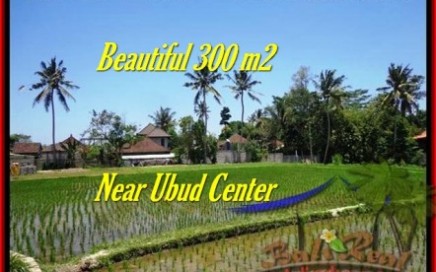 JUAL TANAH MURAH di UBUD 300 m2 View sawah link villa