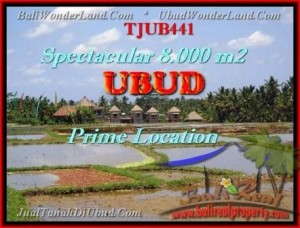 JUAL MURAH TANAH di UBUD 8.000 m2  View Sawah, Sungai, Gunung