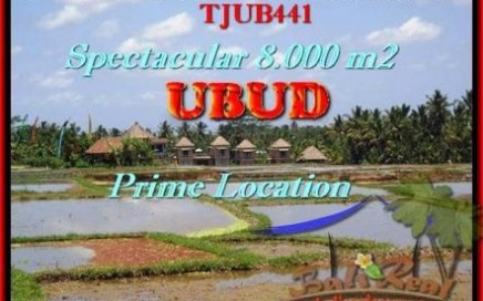 JUAL MURAH TANAH di UBUD 8.000 m2 View Sawah, Sungai, Gunung