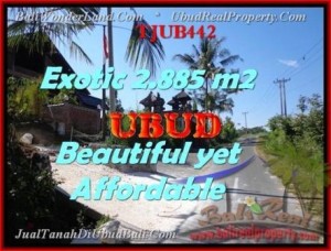 JUAL MURAH TANAH di UBUD 28,85 Are View Sawah dan sungai Kecil