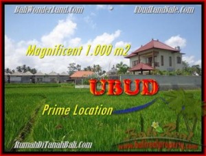 INVESTASI PROPERTY, TANAH MURAH di UBUD TJUB445