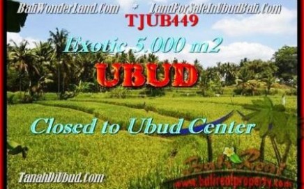 TANAH MURAH di UBUD DIJUAL TJUB449