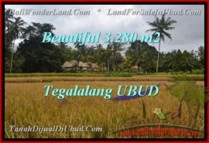 TANAH di UBUD BALI DIJUAL 3,280 m2 di Ubud Tegalalang