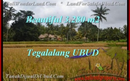 TANAH di UBUD BALI DIJUAL 3,280 m2 di Ubud Tegalalang