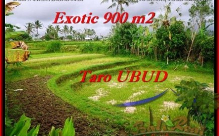 TANAH di UBUD JUAL 9 Are View sawah dan gunung