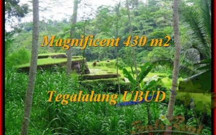 JUAL MURAH TANAH di UBUD 430 m2 View Sawah, sungai, link Villa