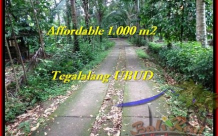 INVESTASI PROPERTY, DIJUAL TANAH MURAH di UBUD TJUB467