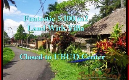 TANAH di UBUD BALI DIJUAL Untuk INVESTASI TJUB468