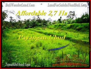 INVESTASI PROPERTY, DIJUAL TANAH MURAH di UBUD TJUB469