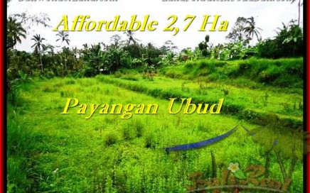 INVESTASI PROPERTY, DIJUAL TANAH MURAH di UBUD TJUB469