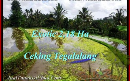 TANAH di UBUD BALI DIJUAL Untuk INVESTASI TJUB471