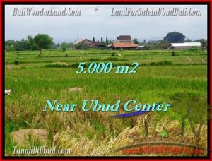 JUAL MURAH TANAH di UBUD 50 Are View sawah dan gunung