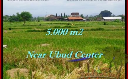 JUAL MURAH TANAH di UBUD 50 Are View sawah dan gunung