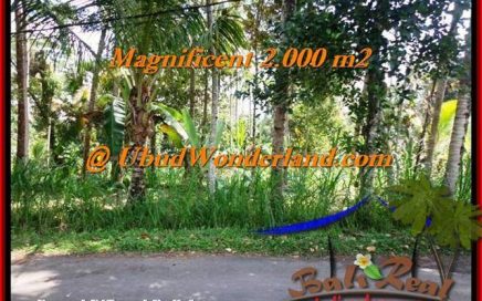 JUAL TANAH di UBUD 2,000 m2 View Tebing dan sungai