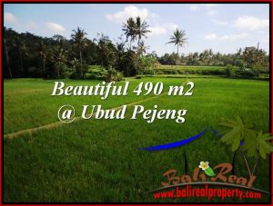 JUAL TANAH MURAH di UBUD 490 m2 View Sawah