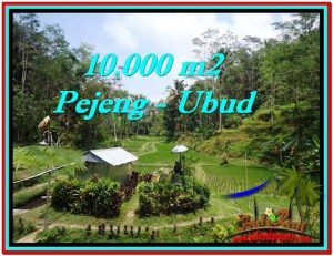 DIJUAL TANAH di UBUD Untuk INVESTASI TJUB519